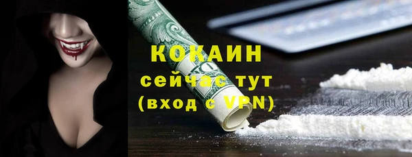 apvp Алексин