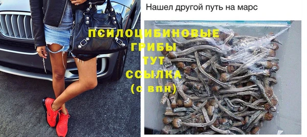 apvp Алексин